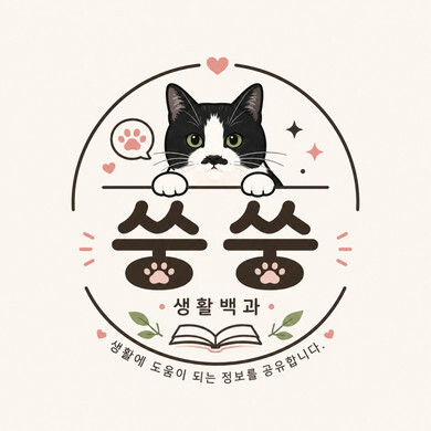 쑹쑹 로고 파일